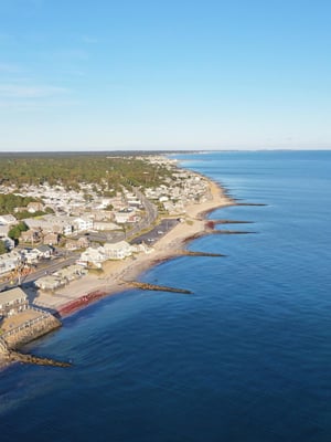 Brewster