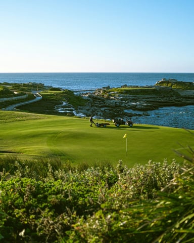 Coastal golf course with ocean views, green fairway, wildflowers, and a flag on the green