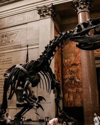 Dramatic dinosaur skeleton displayed in a grand museum hall with tall columns