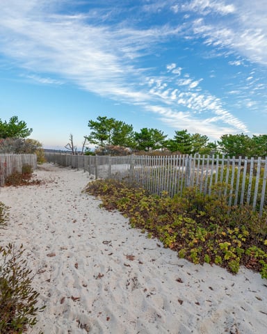 Cape Cod sand path with white picket fence under a blue summer sky