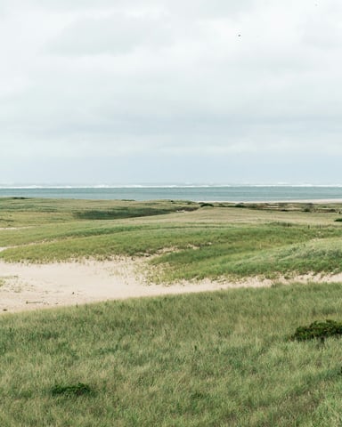 Wide Cape Cod dune landscape with sea grass and ocean horizon under a cloudy sky