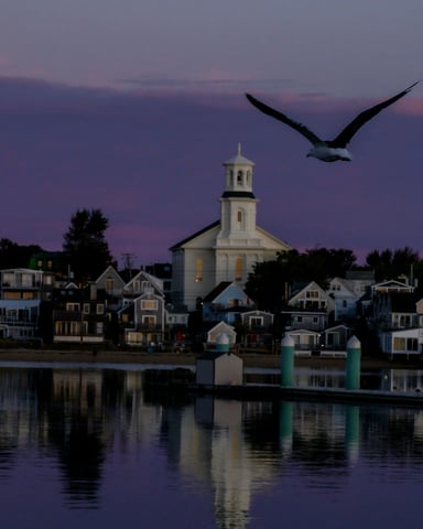 Provincetown harbor at dusk with a seagull in flight and Cape Cod village reflected in the water