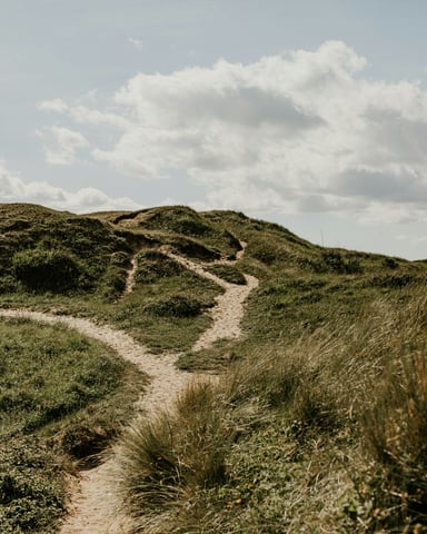 Sandy path winding through coastal dunes and grass under a cloudy sky
