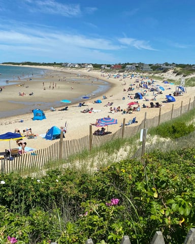 Busy Cape Cod beach with dune grass and sand fencing in the foreground under a blue sky.