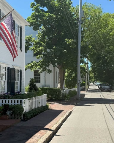 Classic New England street with white clapboard houses, American flag, and summer trees