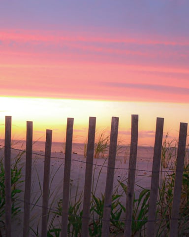 Weathered dune fence with beach grass silhouetted against a vivid pink and orange sunrise