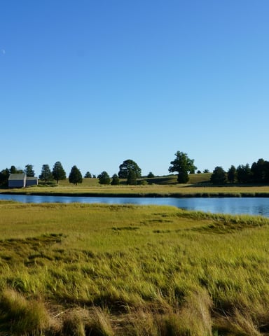 Cape Cod salt marsh with still pond, lone barn, and tree line under clear blue sky