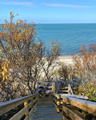Wooden boardwalk with railings descending through autumn vegetation toward sandy beach and calm blue ocean