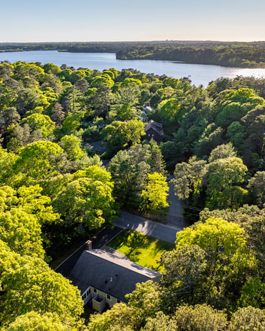 Aerial view of Cape Cod homes nestled among dense green trees with a large pond visible in the distance