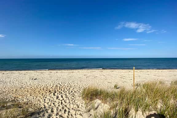 Tranquil home close to Bay beaches and historic downtown Brewster. Gazebo and outdoor shower! - Image 1