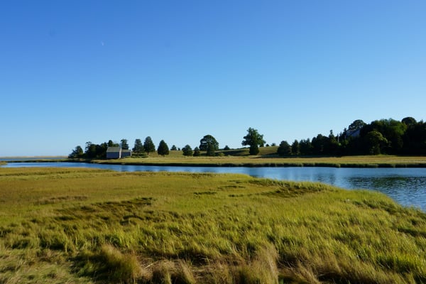 Cape Cod salt marsh with still pond, lone barn, and clear blue sky