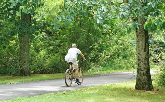 Cyclist riding along a shaded tree-lined path on a sunny summer day