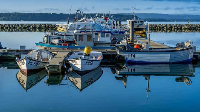 Deep Sea & Local Fishing Charters