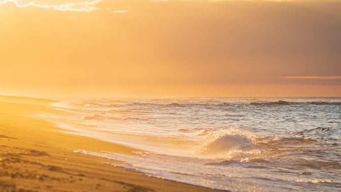 Qualities to Look for in a Cape Cod Property Management Company
