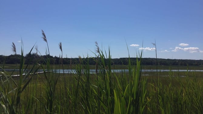 10 Hidden Spots on Cape Cod