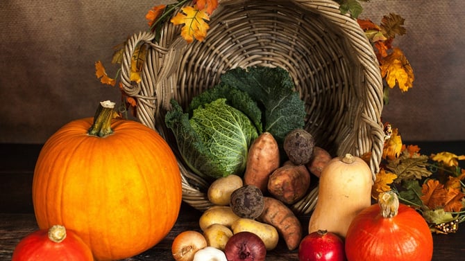 Thanksgiving Events and Celebrations