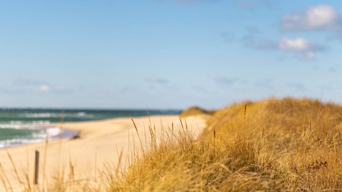 What to Bring on Cape Cod Vacation