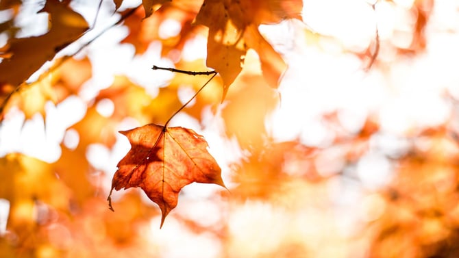 Fall Events On Cape Cod