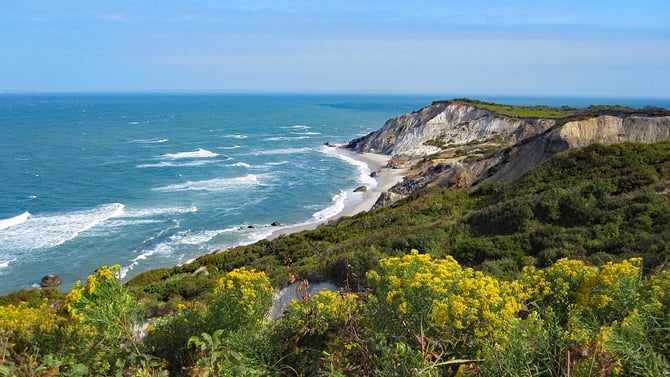 1 Bedroom Cape Cod Summer Rentals