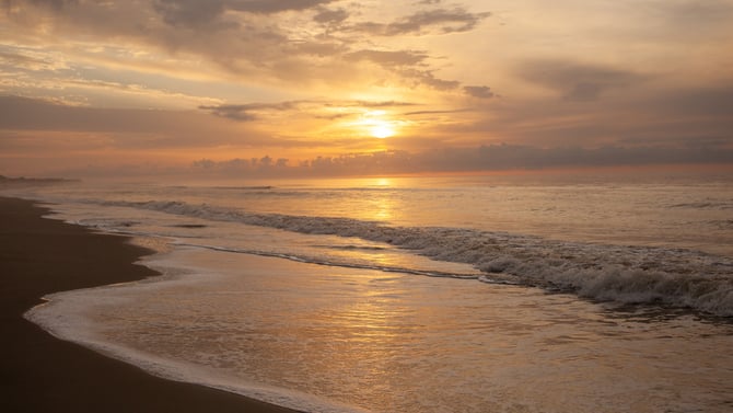 Your Best Week in Cape Cod