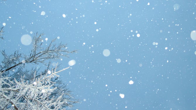 Managing the Shoulder Seasons