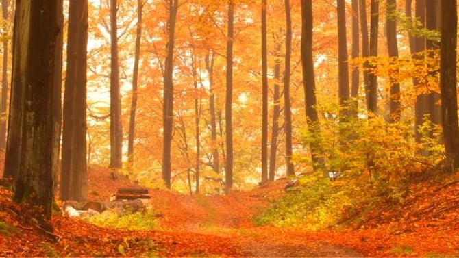 Outdoors Cape Cod