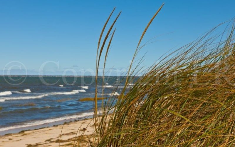 Private Beach #2 at Ocean Edge Resort, Brewster